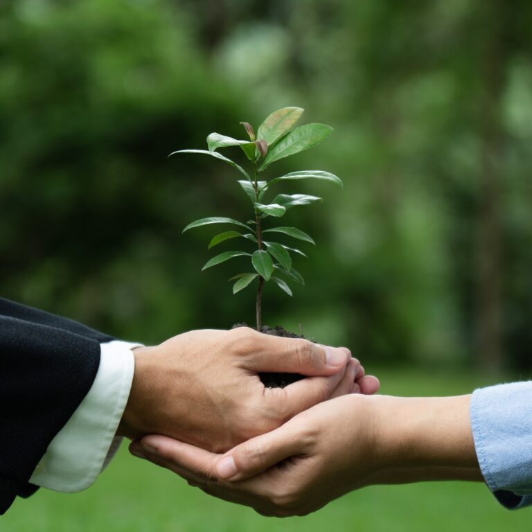 Professionnels tenant ensemble des plantes vertes pour la RSE, responsabilité sociale des entreprises.