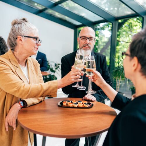 Businessmen and businesswomen making a corporate party