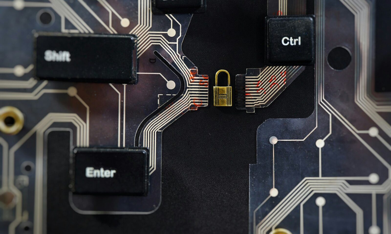 sicurezza-informatica-già-nominata-